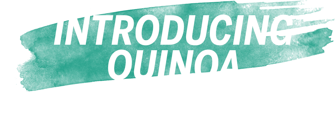 Introducing Quinoa